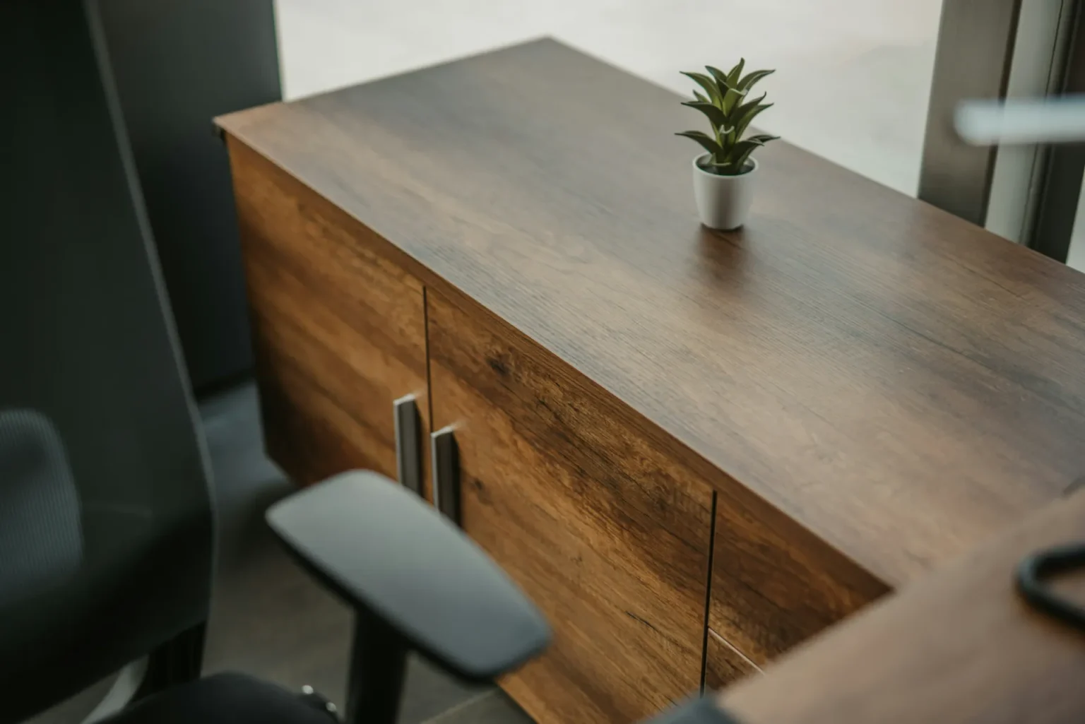 Petit pot de succulente verte sur un meuble bas en bois sombre avec des poignées métalliques, près d'un fauteuil de bureau noir.