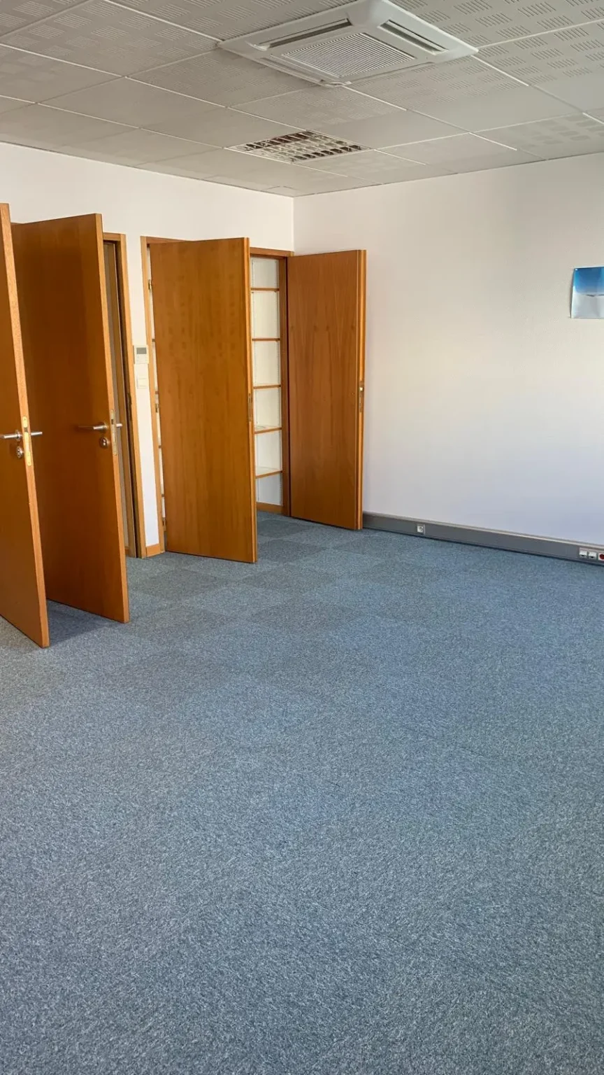 Bureau vide avec tapis bleu et quatre portes en bois brunes ouvertes, dont une avec des étagères vitrées.
