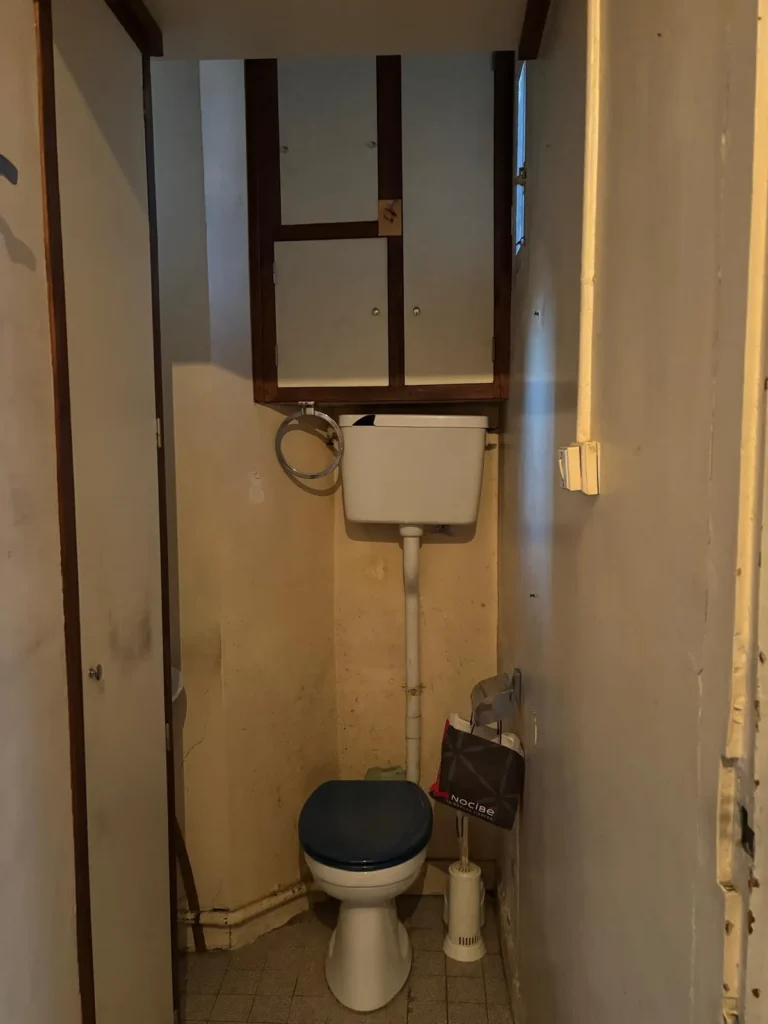 Salle de bain avec une cuvette de toilette blanche et un abattant bleu, un réservoir au-dessus, des placards marrons au-dessus et un porte-pinceau à côté.